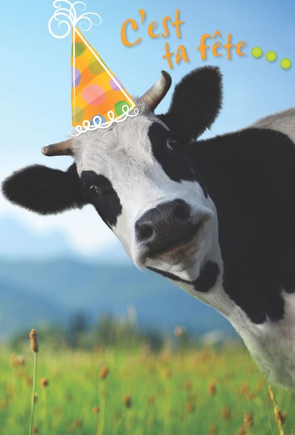 CARTE D'ANNIVERSAIRE - C'EST TA FÊTE... - DE MILLBROOK