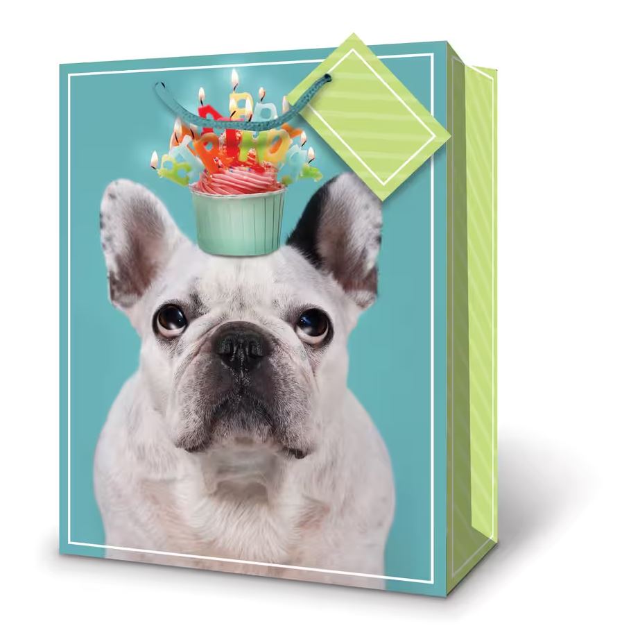 SAC CADEAU LARGE - CHIEN BULLDOG ANGLAIS
