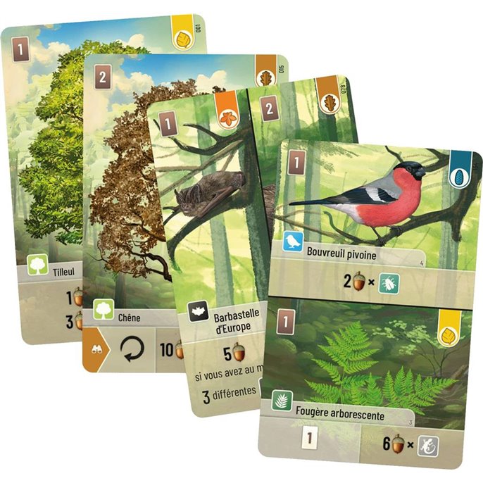 JEU FORÊT MIXTE