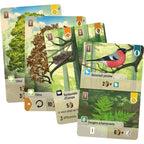 JEU FORÊT MIXTE