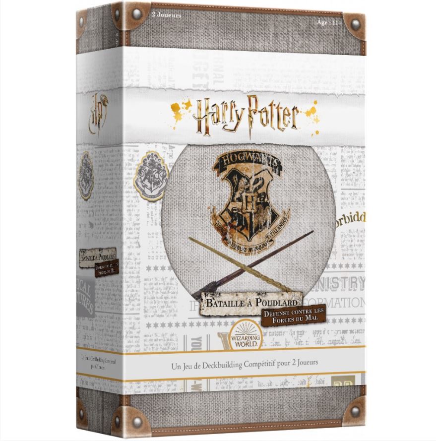 HARRY POTTER GAME - DEFENSE AGAINST THE DARK ARTS (FR)