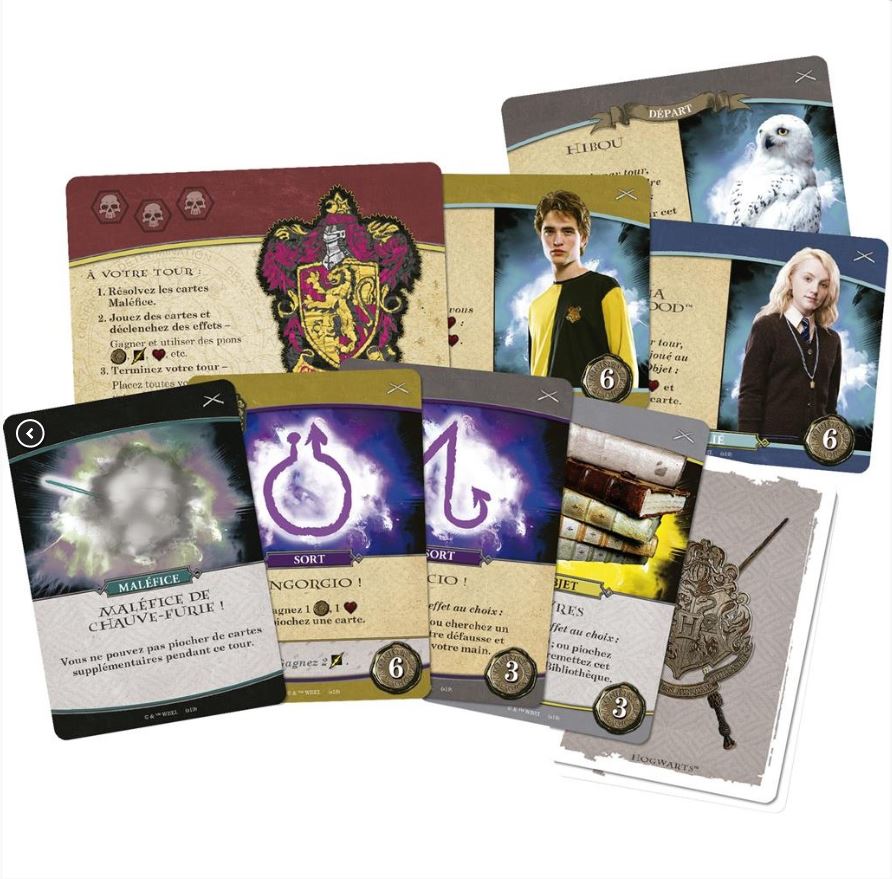 HARRY POTTER GAME - DEFENSE AGAINST THE DARK ARTS (FR)