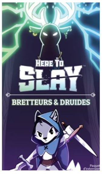HERE TO SLAY GAME EXTENSION - SWASHBUCKLERS & DRUIDS