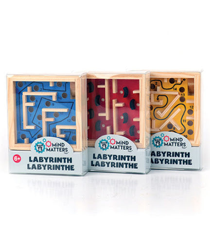 JEU LABYRINTHE MIND MATTERS ASST