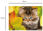 NATHAN CASSE-TÊTE 1500 PIÈCES - CHATON EN AUTOMNE #76-00945