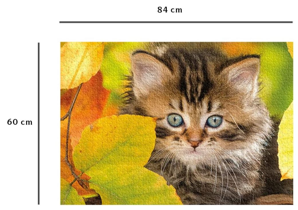 NATHAN CASSE-TÊTE 1500 PIÈCES - CHATON EN AUTOMNE #76-00945