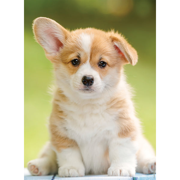 NATHAN CASSE-TÊTE 500 PIÈCES - ADORABLE CORGI #76-00961