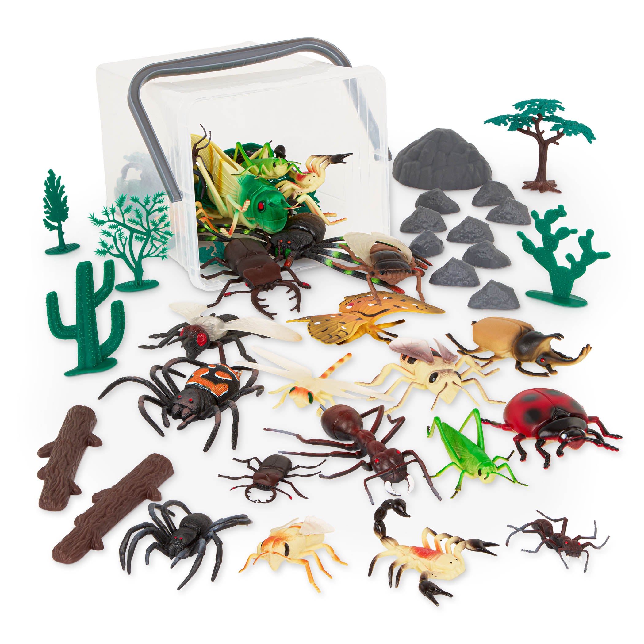 TERRA - LE MONDE DES CRÉATURES ET INSECTES RAMPANTS