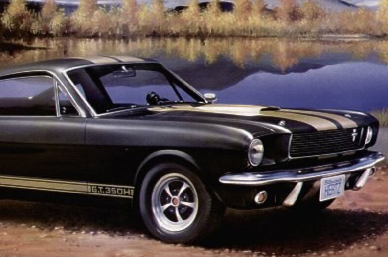 MODÈLE À COLLER - SHELBY MUSTANG GT 350 H NIVEAU #3