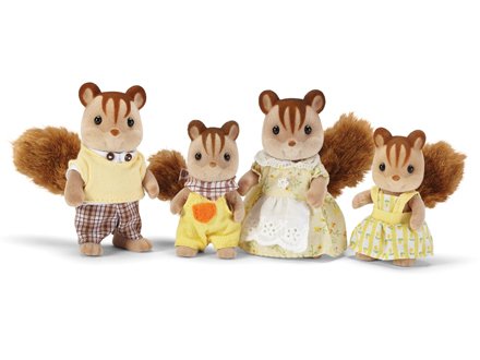 CALICO - FAMILLE TAMIA RAYÉ