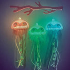 NEBULOUS STARS - LUMINESCENT JELLYFISH - CORALIA