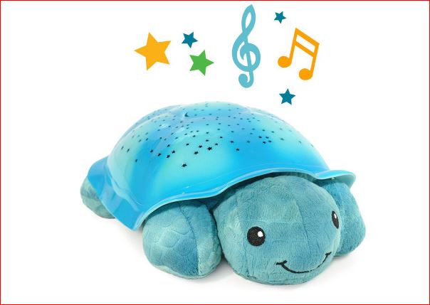 TORTUE SCINTILLANTE AQUA
