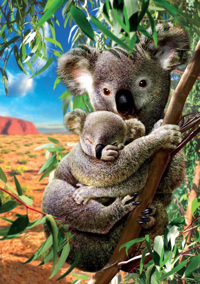 EDUCA CASSE-TÊTE 500 PIÈCES - MAMAN KOALA ET SON BÉBÉ #18999