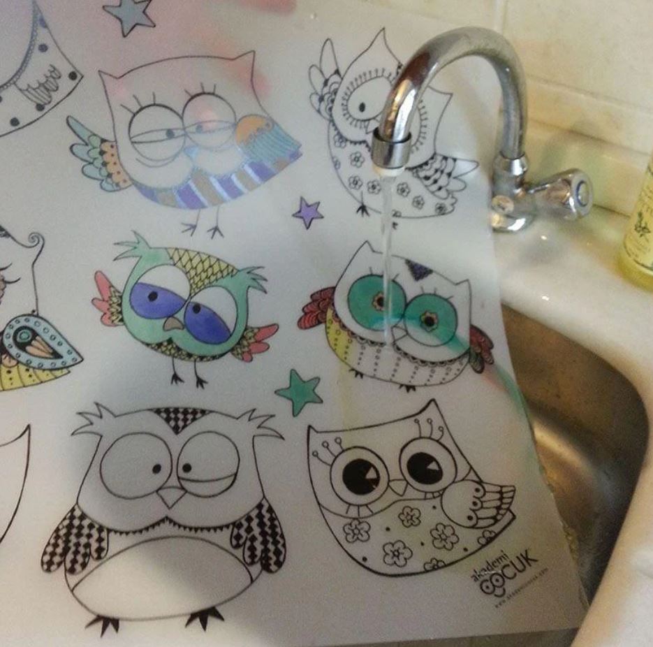 COLORING PLACEMAT - OWLS