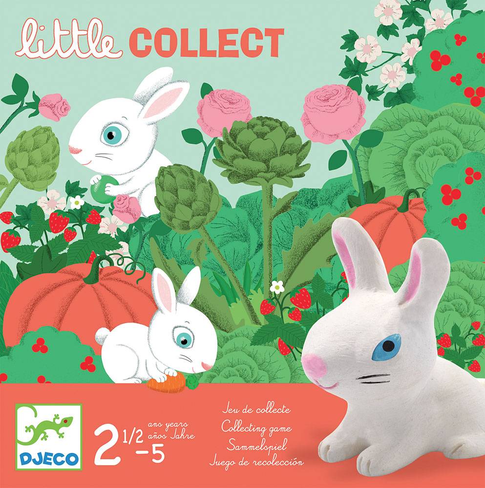 JEU DJECO - LITTLE COLLECT