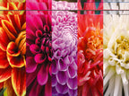 CASSE-TÊTE 750 OU 1000 PIÈCES - COLORFUL COLLAGES ASST