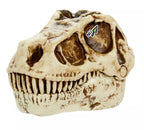 GROSSMOSS - DINO MYSTERY SERIES 1 ASST