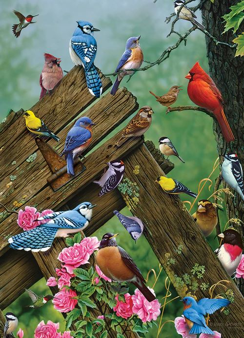 COBBLE HILL PUZZLE 1000 PIECES - FOREST BIRDS #40167