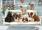 COBBLE HILL CASSE-TÊTE 350 PIÈCES - LES COPAINS (CASSE-TÊTE FAMILIAL) #47006