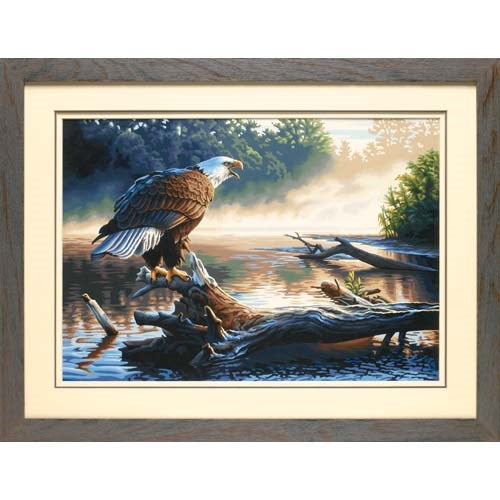 PEINTURE À NUMÉROS - GR P-N AIGLE SUR BRANCHE 20X14'' (GRANDE)
