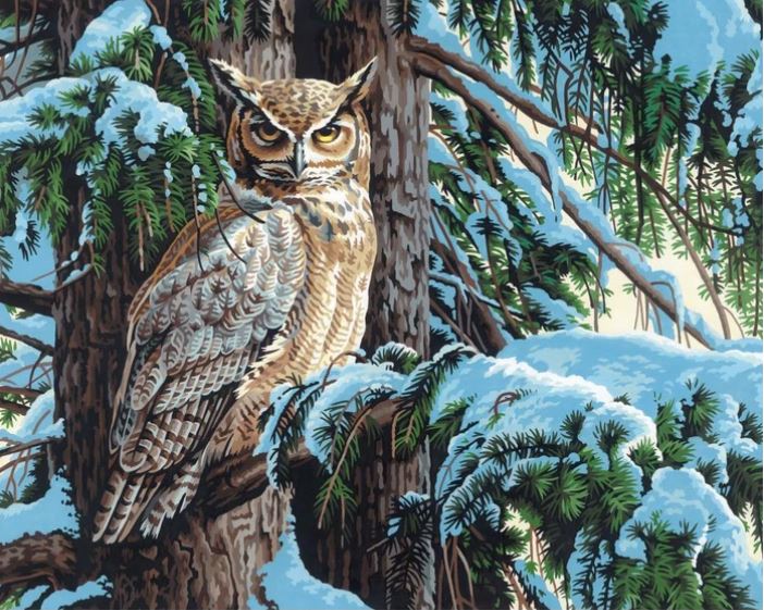 PAINT BY NUMBERS GREAT HORNED OWL, 20X16 (LARGE)