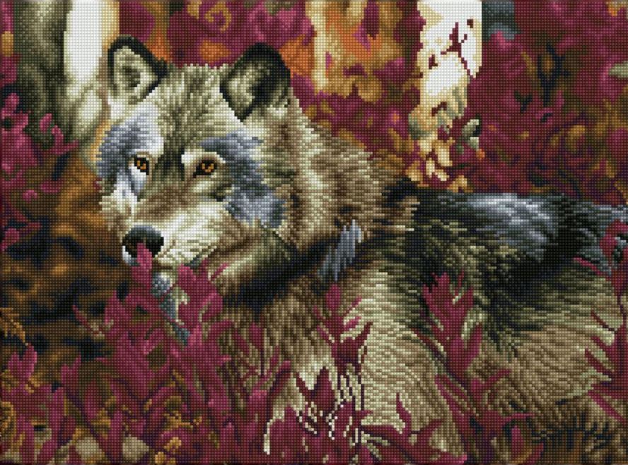 DIAMOND DOTZ CARRÉ - LOUP EN AUTOMNE