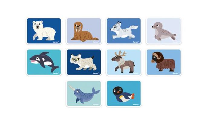 JANOD MAGNÉTI'BOOK - ANIMAUX POLAIRES