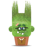 PLANTS PALS - FRIEND HEAD MONSTER (GRASS HEADS) ASST
