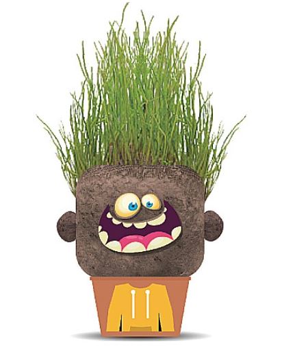 PLANTS PALS - FRIEND HEAD MONSTER (GRASS HEADS) ASST