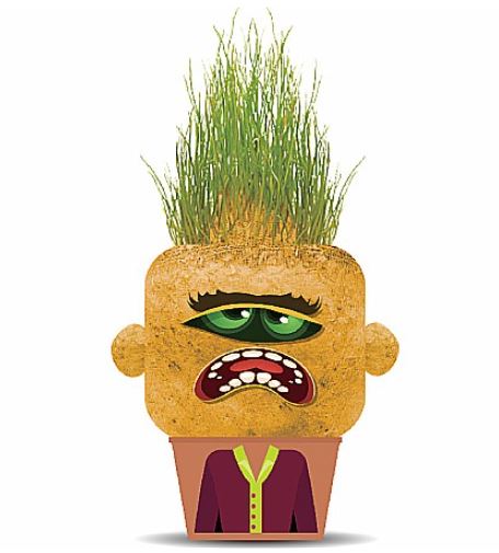 PLANTS PALS - FRIEND HEAD MONSTER (GRASS HEADS) ASST
