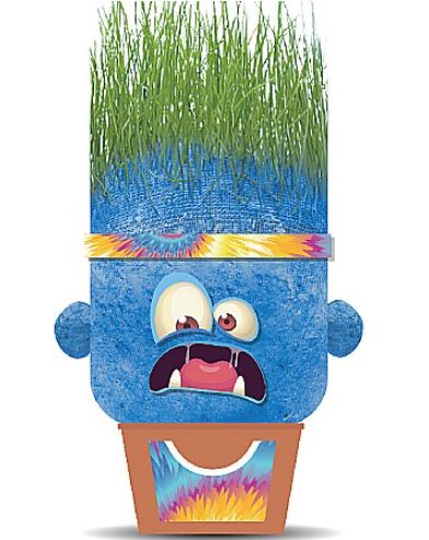 PLANTS PALS - FRIEND HEAD MONSTER (GRASS HEADS) ASST