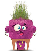 PLANTS PALS - FRIEND HEAD MONSTER (GRASS HEADS) ASST