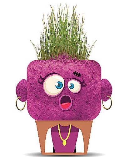 PLANTS PALS - FRIEND HEAD MONSTER (GRASS HEADS) ASST
