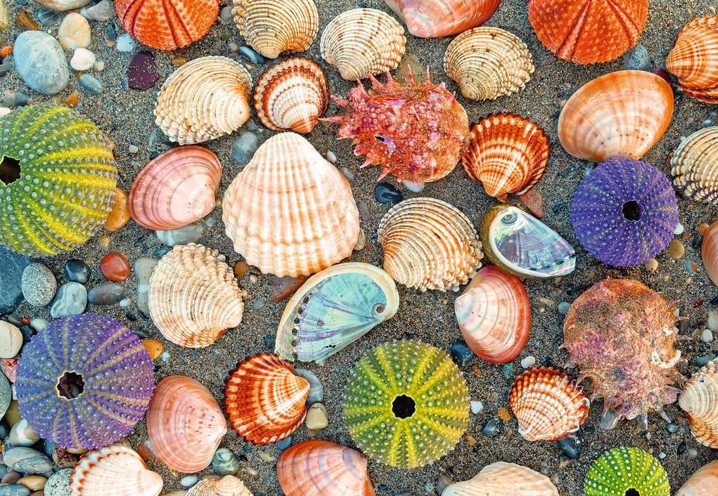 RAVENSBURGER CASSE-TÊTE 300 PIÈCES - PUZZLE MOMENTS : AU BORD DE LA MER #12001326
