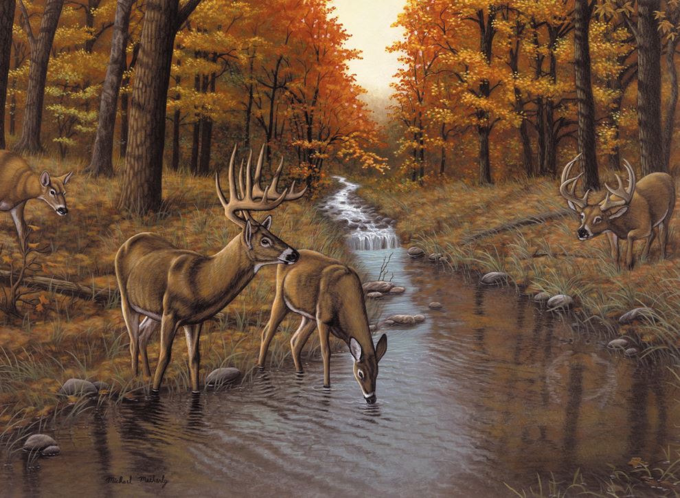 LARGE ADULT PAINT BY NUMBERS - SYMOND'S STREAM