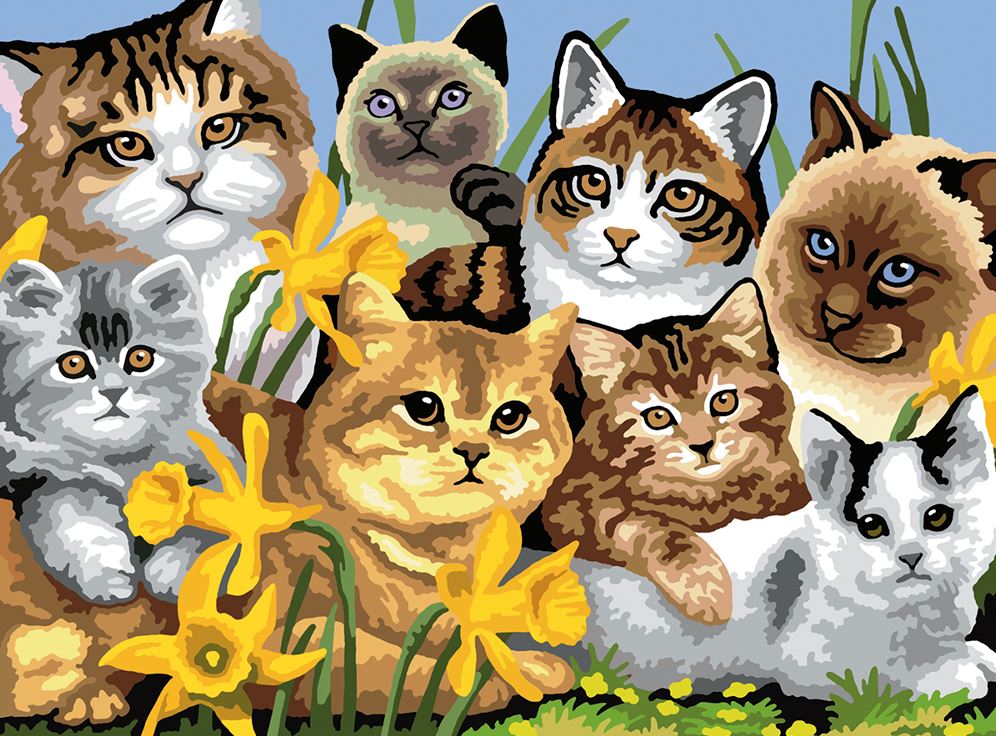 PEINTURE À NUMÉROS JUNIOR LARGE - GROUPE DE CHATS