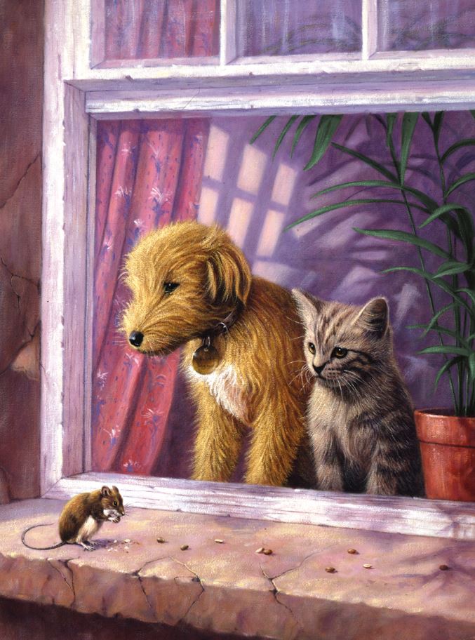 PEINTURE À NUMÉROS JUNIOR - REGARDER PAR LA FENÊTRE