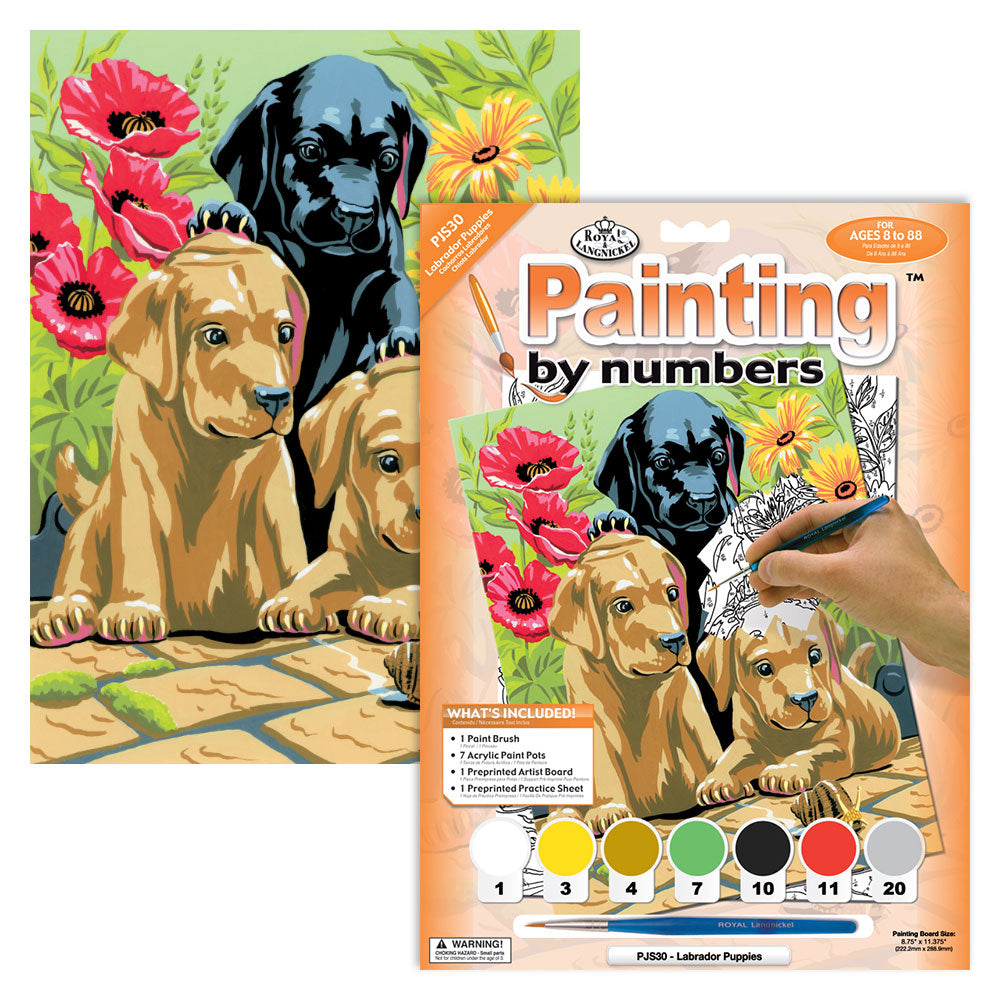 PAINT BY NUMBERS JUNIOR SMALL - LABRADOR PUPPIES