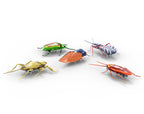 HEXBUG NANO - ENSEMBLE DE 5 INSECTES EN FOLIE