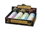 GLUE FOSSILES DE DINOSAURES ASST