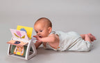 TAF TOYS - LIVRE TOURNANT POSITION VENTRALE