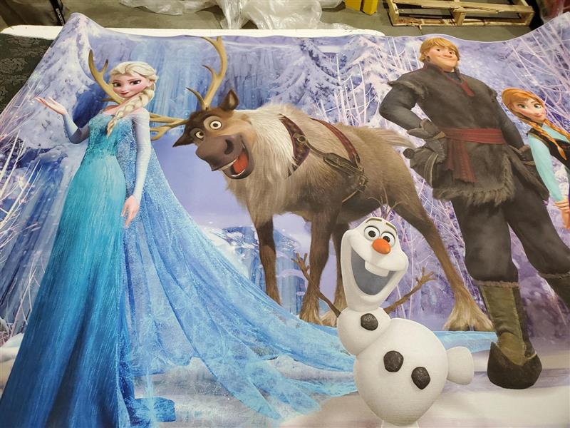 TAPIS DE CHAMBRE - SALLE DE JEUX - REINE DES NEIGES - ANNA ELSA ET KRISTOFF (FROZEN) ASST
