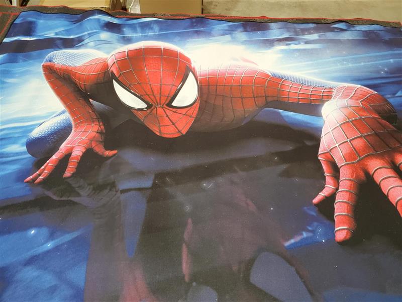 TAPIS DE CHAMBRE - SALLE DE JEUX - SPIDER-MAN ASST