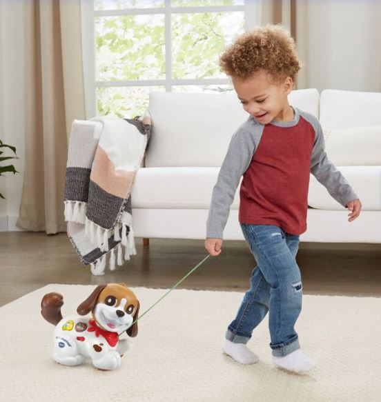 VTECH - TOUTOU 1,2,3 PROMÈNE-MOI