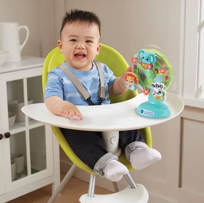 VTECH - LA GRANDE ROUE DES BABY LOULOUS