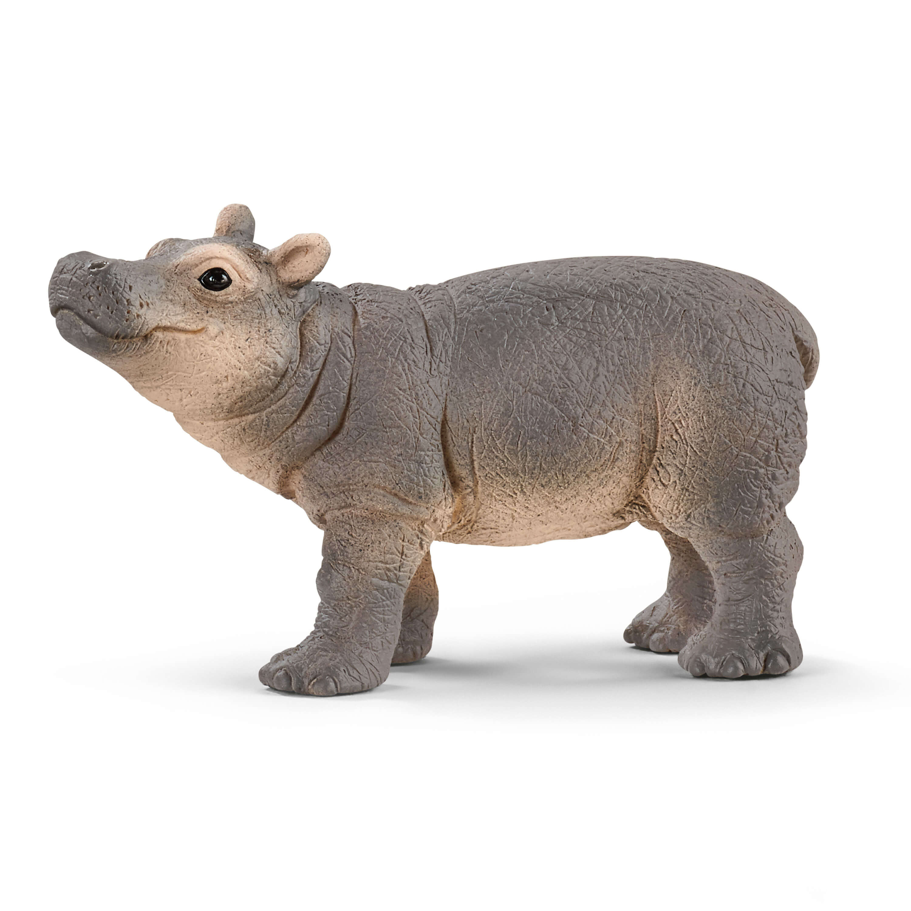 Bebe Hippopotame 141 Schleich Papo Schleich