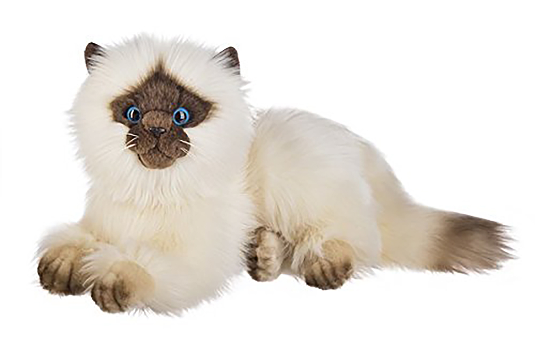 Chat Siamois 12 Peluches Regulieres