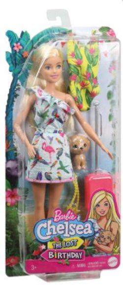 Barbie Chelsea The Lost Birthday Barbie Avec Chiot Netflix Poupees Barbie Et Articles Menagers Barbie Et Accessoires